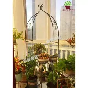 해이프 장미넝쿨지지대 장미 아치 덩굴 넝쿨지지대 도어