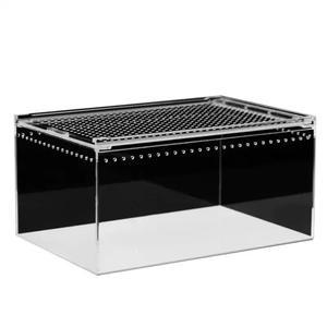 왕달팽이 사육장 달팽이 사육통 애완 키우기