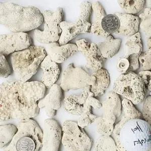 [콩심팥심]조경석 10kg 바닥재 수족관 장식용 어항 수조 조경돌 어항산호