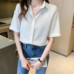 베이직 카라 반팔 블라우스 루즈핏 데일리 오피스 셔츠