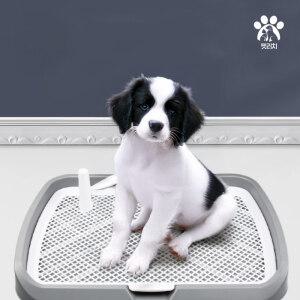 강아지배변판 대형 개 화장실 대형견 배변훈련