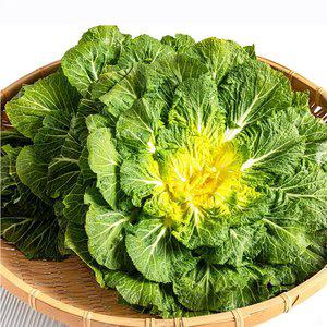 [새벽경매] 국내산 제철 봄동배추 2kg