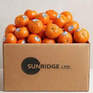 [kg당 5,950원꼴] 탱고품종 초고당도 미국 캘리포니아산 만다린 귤 4kg (40과 내외)