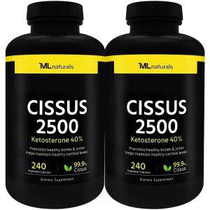 2병 마이라이프 내추럴스 시서스 Cissus 2500 240 야채캡슐