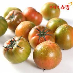 [우체국쇼핑] 다원농장 찰 토마토5kg(크기혼입)