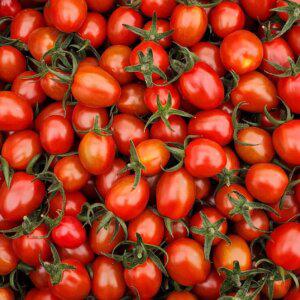 착한식탁 스테비아 대추방울토마토 2kg