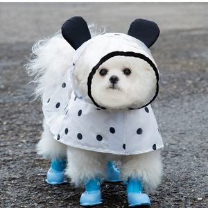 J2K 강아지 우비 곰돌이 땡땡이 망토우비 강아지옷 화이트