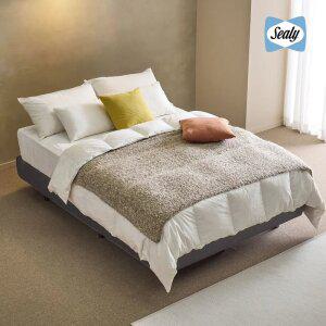 씰리 브라이드 ET + 팀버 투매트리스(SS/Q/KI/CK)