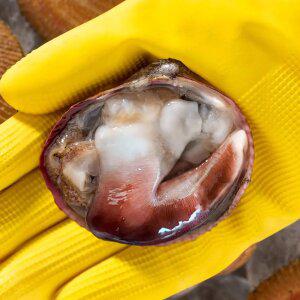 [대한민국농수산] 국내산 특품 제철 손질 새조개 200g