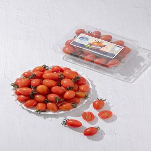 [토망고] 스테비아 대추방울토마토 500g 4팩/총2kg