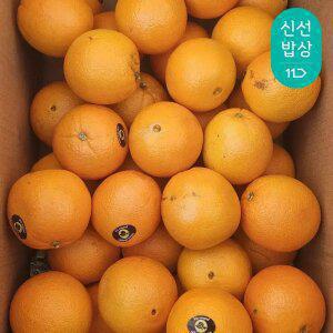 썬리지 미국 캘리포니아산 고당도 못난이 오렌지 중대과 7kg 대용량