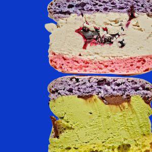 널담 뚱카롱 고식이섬유 마카롱 16구 (사랑이야,감동이야)