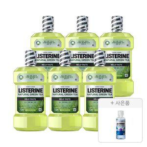 리스테린 그린티 마일드, 250ml, 6개 + 증정(캐비티케어 마일드 100ml,1개)