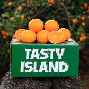 [품질보장]고당도 천혜향 4.5kg 중소과 / 실중량 발송