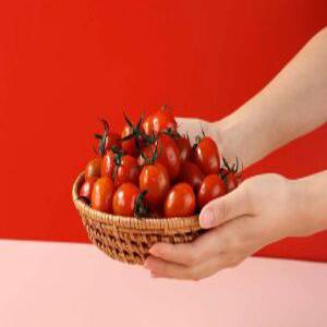 건달마토 고당도 스테비아 토마토 로얄대과(1~2번과) 500g x2팩[1kg]