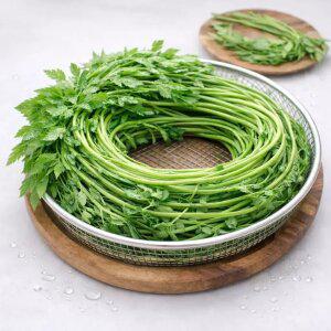 국내산 돌미나리 1kg 제철 생미나리 불미나리