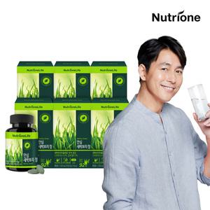 뉴트리원 정우성 국내산 안심 새싹보리 정 6박스(6개월분) 정제 농축 스피루리나 클로