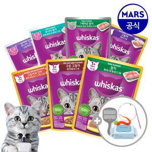 위스카스팩 파우치 24개 골라담기+모래삽+고양이낚시대+베베숲물티슈