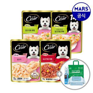 시저 파우치 70gx16개 골라담기+아이엠즈쇼핑백+애견칫솔+베베숲물티슈