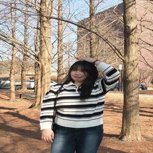 레드 포인트 스트라이프 카라 니트