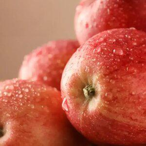 부사사과 실속형 산지출하 4kg (24과내외)