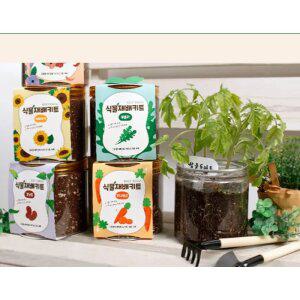 식물재배키트 방울토마토 딸기 고수 바질 키우기 베란다