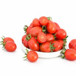 [아침마당]대추방울토마토 소과 2kg 판매 (두박스 구매시 1kg 추가발송!!)