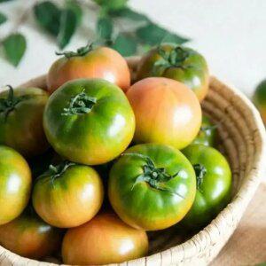 부산명물  산지직송 대저토마토 2.5kg (m/중과)