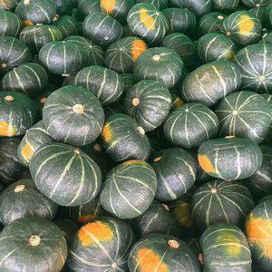 [농산물마루] 국내산 뉴질랜드 단호박 3kg