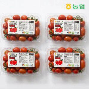 최종가 14320원! 농협선별 고당도 스테비아 토마토 로얄과(1-3번) 500gx4팩/ 2kg