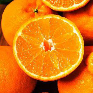 달콤한 제주 서귀포 한라봉 4kg혼합과/수량2개 구매시 9kg발송