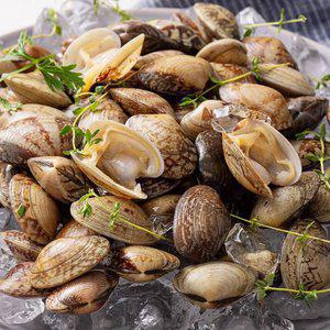 국내산 왕바지락 2kg