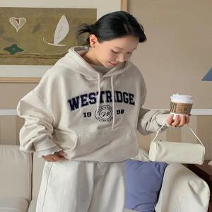 브릿지 패치 오버핏 후드티 (3 color)