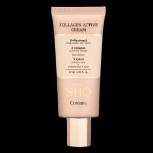 로댕 쇼 콜라겐 액티브 탄력 크림 50g 1개