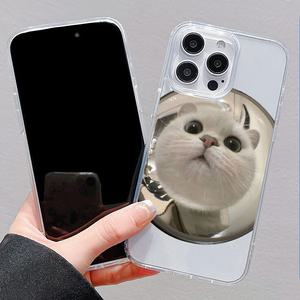 최신 귀여운 갤럭시 아이폰 케이스 렌즈 앞 고양이 / 핸드폰케이스 S25 S24 S23 16 15