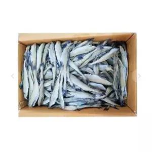 [셀러허브]VB 두절 노가리 대용량 10kg 21-23 사이즈 1박스 (S20246211)