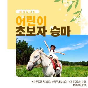 [제주 ]산책코스 초보자 & 어린이 체험 (송당승마장) /  제주승마  /  어린이  /  이색체험 / 가족여행/  바로사용