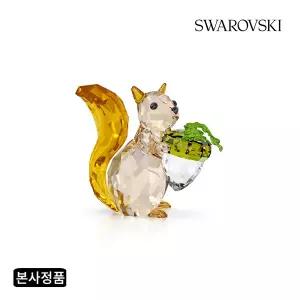 [롯데백화점]스와로브스키 [본사정품] Idyllia 스쿼럴 앤드 에이콘 5683617