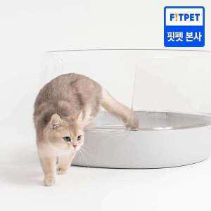 냥쌤 고양이 화장실 투명 오픈형 대형 배변통 변기(그린/화이트/연그레이)