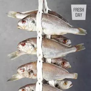 [프레시데이] 국내산 백조기 영광 법성포 백굴비 고급3호 10미