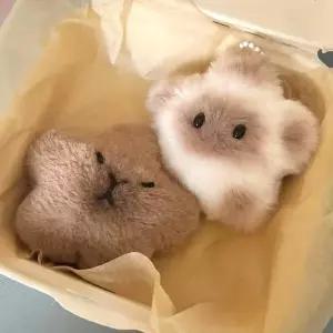 /알럽하우스 행운 귀여운선물 카피바라  별고양이 키링 인형