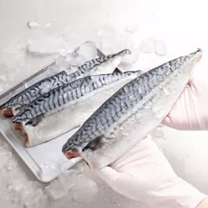 노르웨이 산지가공 고등어 왕특대 180-210g x 10팩