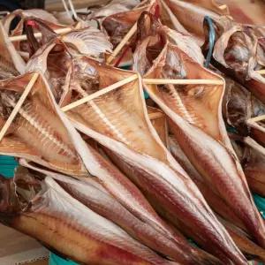 깔끔 코다리 8미