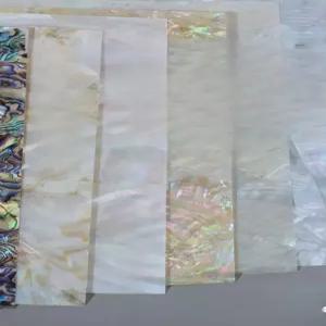 자개판 재료 조개 껍질 칼조개 공예 천연 자개 카멜리아