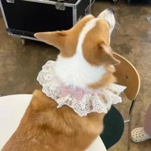 [반려] 레이스 강아지 스카프 케이프 핑크 M