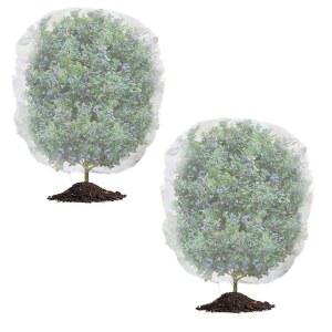 TMFsode 2 팩 나무 그물 커버(드로스트링 ), 7피트 x 6피트 블루베리 부시 그물, 토마토, 나무, 꽃, 채소를 위한 보호 정원 메쉬 커버