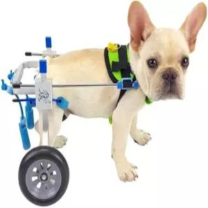 A1DFDFGOQSFG 장애인용 8종 카트 소형견 고양이용 /도그 /강아지 내구성 및 내마모성 경량 휴대용 보행