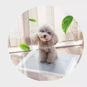 OH 활성탄 냄새예방 애견패드강아지용품 배변판 위생 대형 화장실 탈취효과