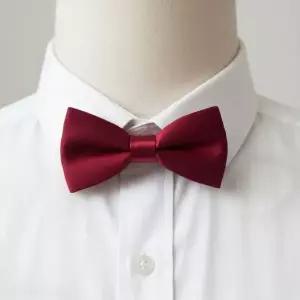 [콩심팥심]버건디 소형 나비넥타이