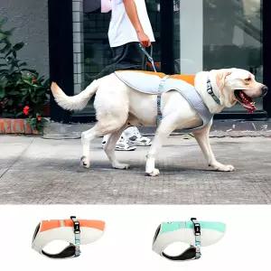 강아지 쿨조끼 M 사이즈 여름옷 펫 의류 계 제품 애견 아이스 조끼 옷 용 쿨 웨어 여름